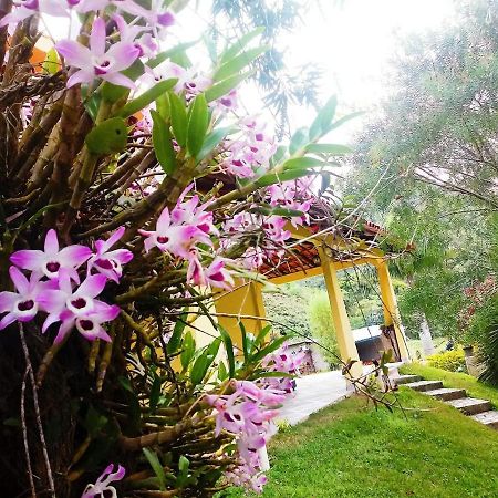 Casa Com Flores Pedra Azul  Eksteriør bilde