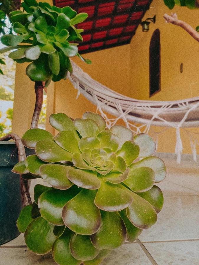 Casa Com Flores Pedra Azul  Eksteriør bilde